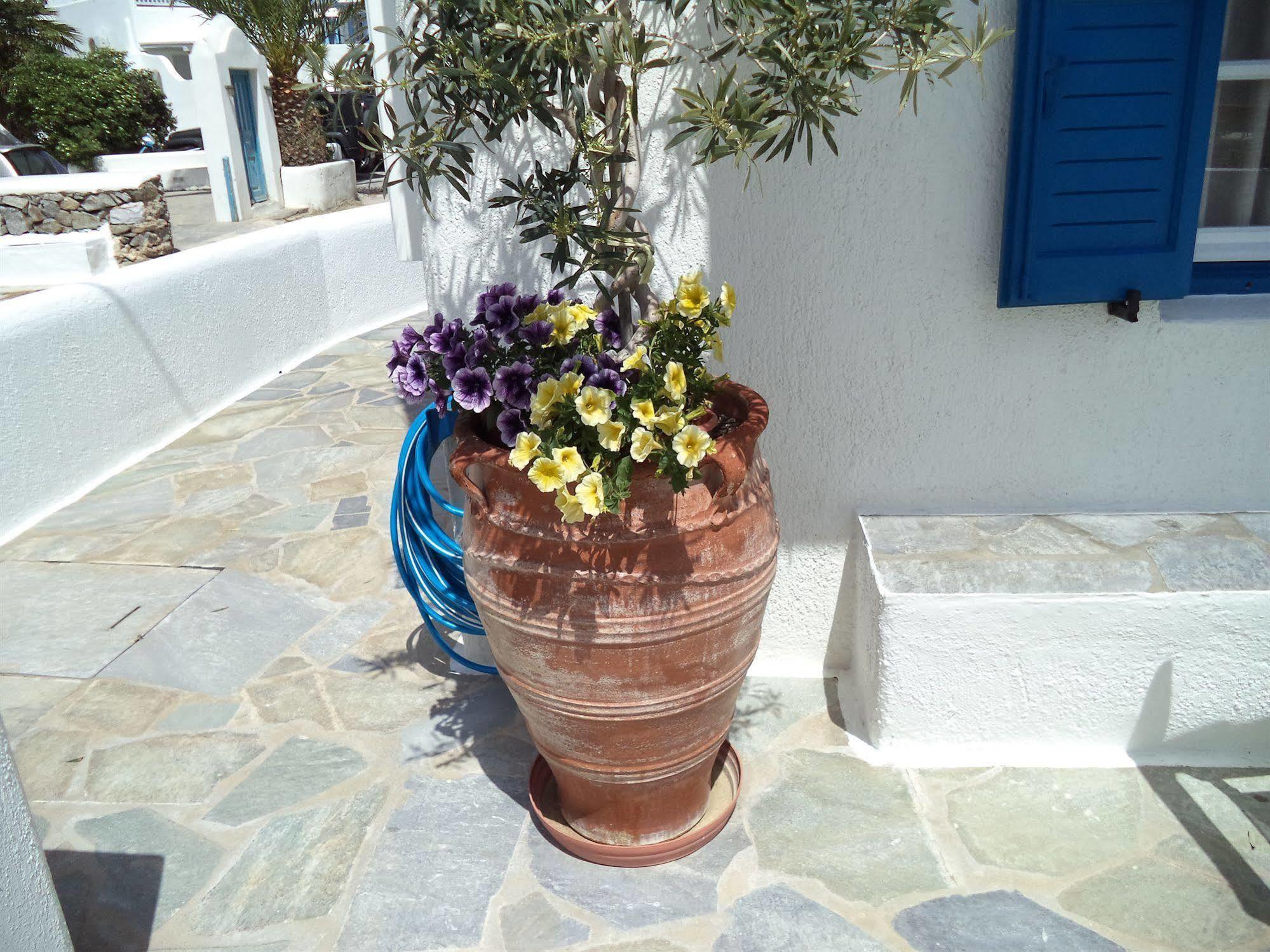 Appartement Filoxenia